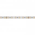 Лента RT 2-5000 24V Day4000 2x(5060, 300 LED, CRI98) Arlight 21422