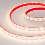 Лента RTW 2-5000PS 12V Warm3000 2x (5060, 300 LED, LUX) Arlight 22325