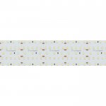 Лента S2-2500 24V Warm 2700K 59mm (2835, 420 LED/m, LUX) (Arlight, 30 Вт/м, IP20) Arlight 23407