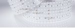 Лента S2-2500 24V White 6000K 85mm (2835, 560 LED/m, LUX) (Arlight, 40 Вт/м, IP20) Arlight 23408