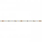 Лента MICROLED-5000 24V Cool 8K 4mm (2216, 120 LED/m, LUX) Arlight 24409