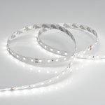 Лента RT 2-5000 24V Day5000 (2835, 80 LED/m, LUX) Arlight 24511