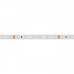 Лента RTW 2-5000PS-50m 24V White6000 (3528, 60 LED/m, LUX) Arlight 24562