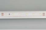 Лента RTW 2-5000PS-50m 24V White6000 (3528, 60 LED/m, LUX) Arlight 24562