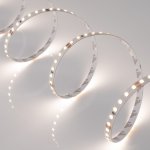 Лента RT 2-5000-50m 24V Day4000 2x (3528, 120 LED/m, LUX) Arlight 24570