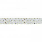Лента RT 2-2500 24V Day5000 4x2 (2835, 700 LED, CRI98) Arlight 25158