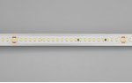 Лента IC 2-50000 48V Cool 8K 12mm (2835, 144 LED/m, LUX) (Arlight, 5.8 Вт/м, IP20) Arlight 26980