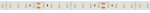 Лента RTW-5000SC 24V Cool SP7500-Fish 10mm (2835, 112 LED/m, SHOP) Arlight 28748