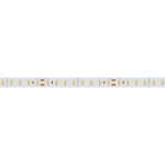 Лента RTW-5000SC 24V Cool SP7500-Fish 10mm (2835, 112 LED/m, SHOP) Arlight 28748