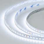 Лента RTW-5000SC 24V Cool SP7500-Fish 10mm (2835, 112 LED/m, SHOP) Arlight 28748