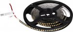 Лента RT-5000-2835-160-24V Day4000 (Black 8mm, 12W/m, IP20) Arlight 29427