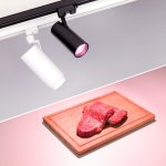 Светильник подвесной для треков/шин 4 провода для продуктов Arlight 29980