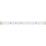 Лента IC-40000-5060-54-48V RGB (12mm, 11.2W, IP20) Arlight 29981