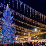 Светодиодная гирлянда "Бахрома" серии PRO Arlight 34128