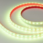 Лента RTW-PS-B60-14mm 24V RGBW-Day-4-in-1 (19.2 W/m, IP67, 5060, 5m) (Arlight, -) Arlight 34187