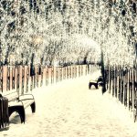 Светодиодная гирлянда "Бахрома" серии Classic Arlight 34913