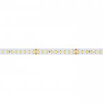 Лента RT-A144-10mm 24V Day4000 (7.7 W/m, IP20, 2835, 5m) (Arlight, высок.эфф.200 лм/Вт) Arlight 36208