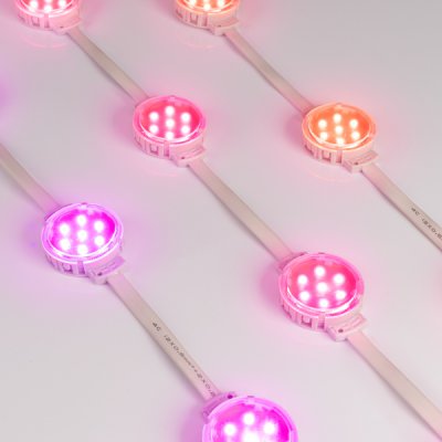 Модуль управляемый SPI-F7-D50 24V RGB-RAM-Auto (1.25W, IP68, 120 deg) (Arlight, Пластик, 3 года) Arlight 36826