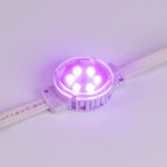 Модуль управляемый SPI-F6-D40 24V RGB-RAM-Auto (1.25W, IP68, 120 deg) (Arlight, Пластик, 3 года) Arlight 36828