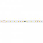 Лента COB-X64-8mm 24V Warm3000 (4.8 W/m, IP20, DOT, 5m) (Arlight, Открытый) Arlight 36837