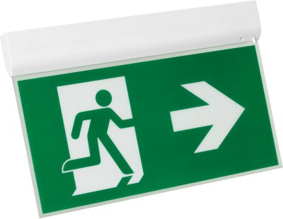 Аварийный светильник EMERGENCY 045655 Arlight