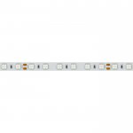 Лента RT 2-5000 24V Blue 2x (5060, 300 LED, LUX) Arlight 8819