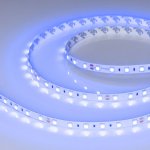 Лента RT 2-5000 24V Blue 2x (5060, 300 LED, LUX) Arlight 8819