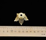 Люстра Maytoni ARM420-08-G Elegant Vintage