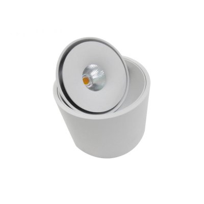 Накладной светильник  Azzardo Boston AZ3469