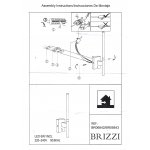Настенный светильник DAROCA BR06843