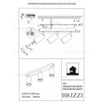 Потолочный светильник-спот ARAS BR08087