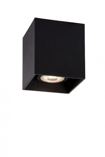 Потолочный светильник Lucide 09101/01/30 BODI Потолочный светильник Lucide 09101/01/30 BODI