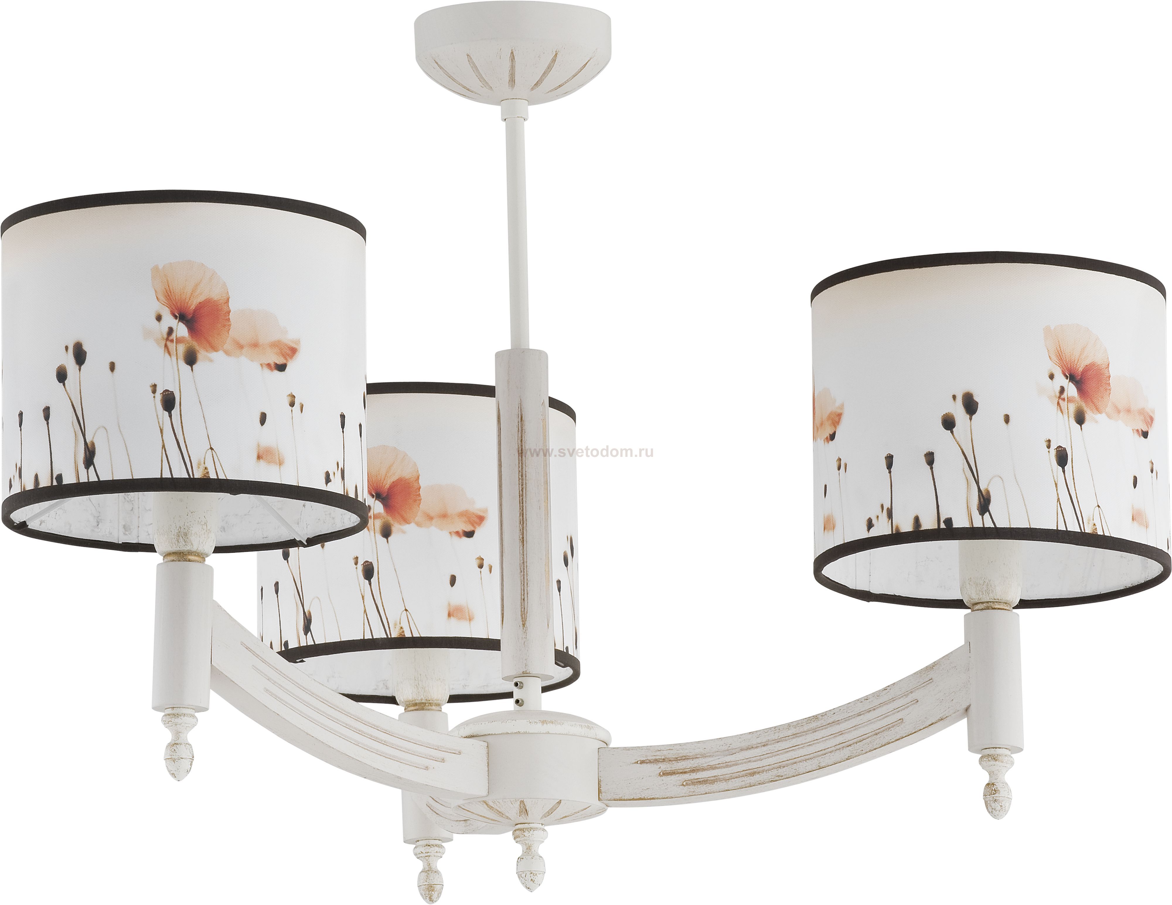 Alfa MACZEK 19193 потолочный светильник