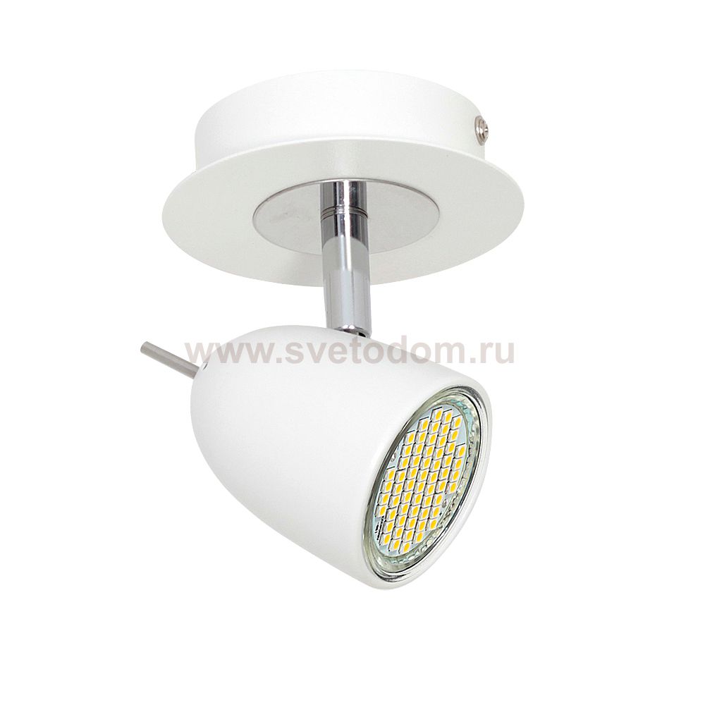 Luminex OLIVIA 6491 спот