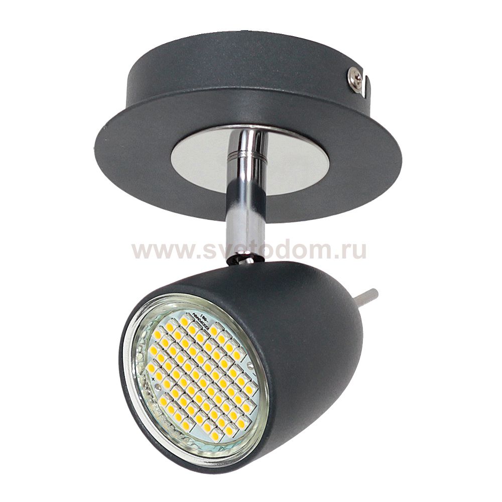 Luminex TAYLOR 6495 спот