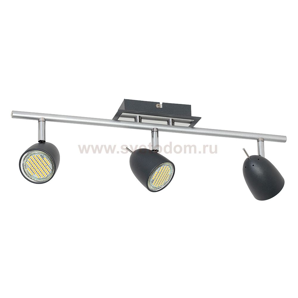 Luminex TAYLOR 6497 спот