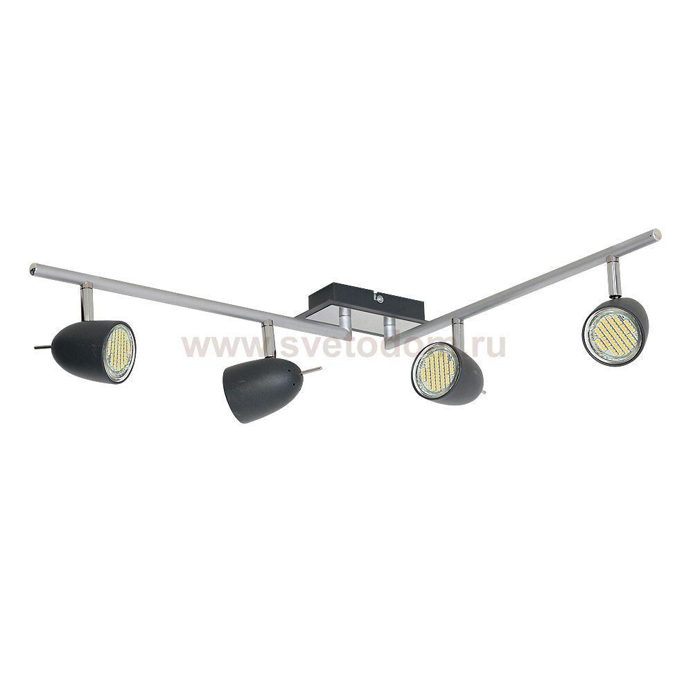 Luminex TAYLOR 6498 спот