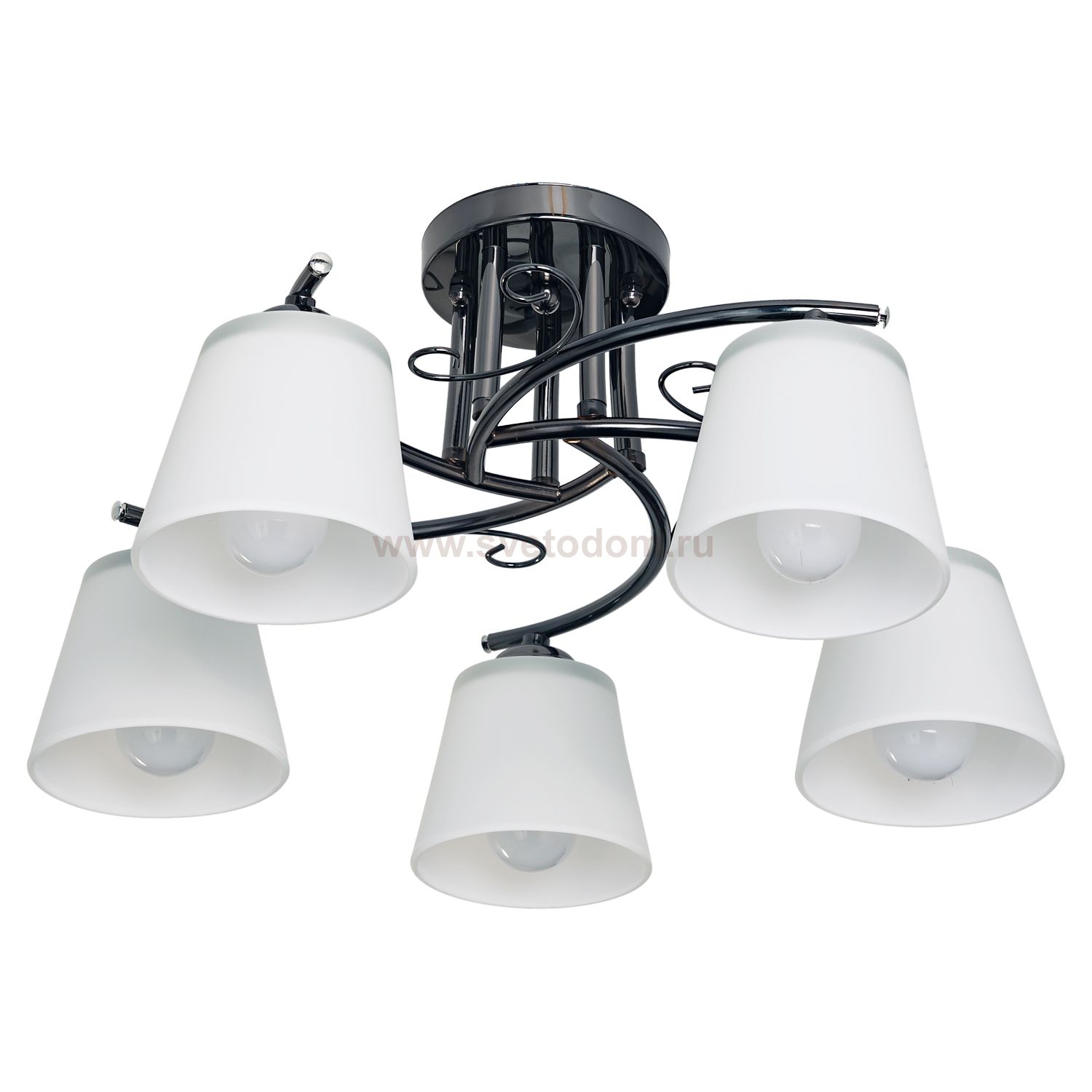 Потолочный светильник Экономсвет 008/5ZZH WT