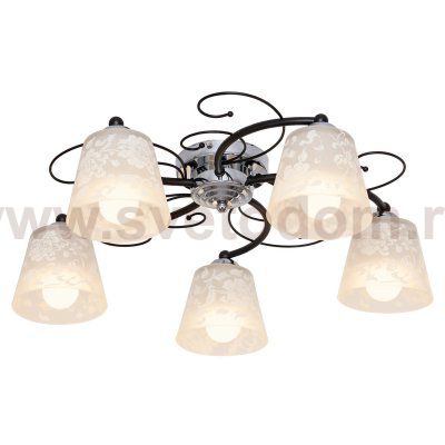 Потолочный светильник Экономсвет 008D/5CR+BK WT