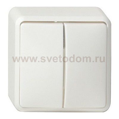 Gira Бел Выключатель двуклавишный 10А IP20 (G010513)
