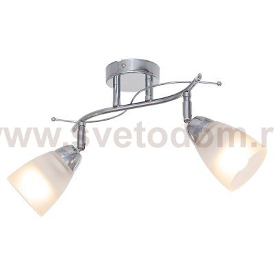 Потолочный светильник Экономсвет 01615/2CR WT