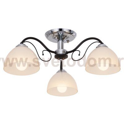 Потолочный светильник Экономсвет 018D/3CR+BK WT