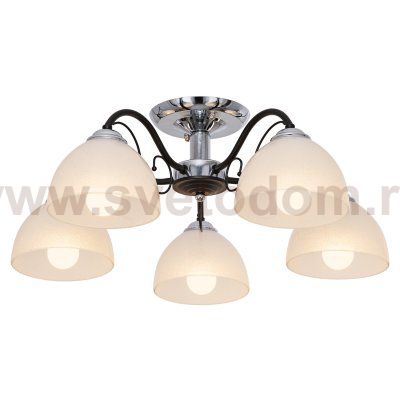 Светильник ЭкономСвет 018D/5CR+BK WT