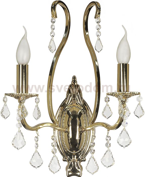 Светильник Arti Lampadari 035-A-H2-G-D02