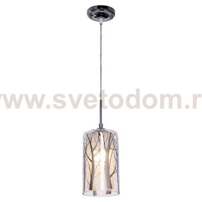 Подвесной светильник Экономсвет 049/1CR WT+CL