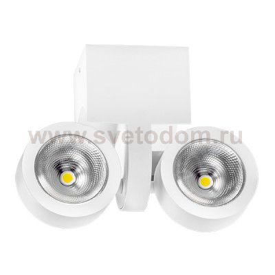 Светильник точечный накладной диодный Lightstar 55363 Snodo