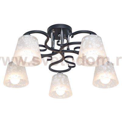 Светильник ЭкономСвет 058/5CR+BK WT