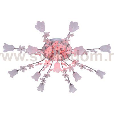 Люстра галогенная Экономсвет 087G/13CR RC RBPLED