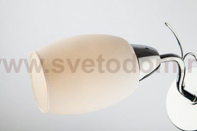 Светильник Eurosvet 70036/1 хром