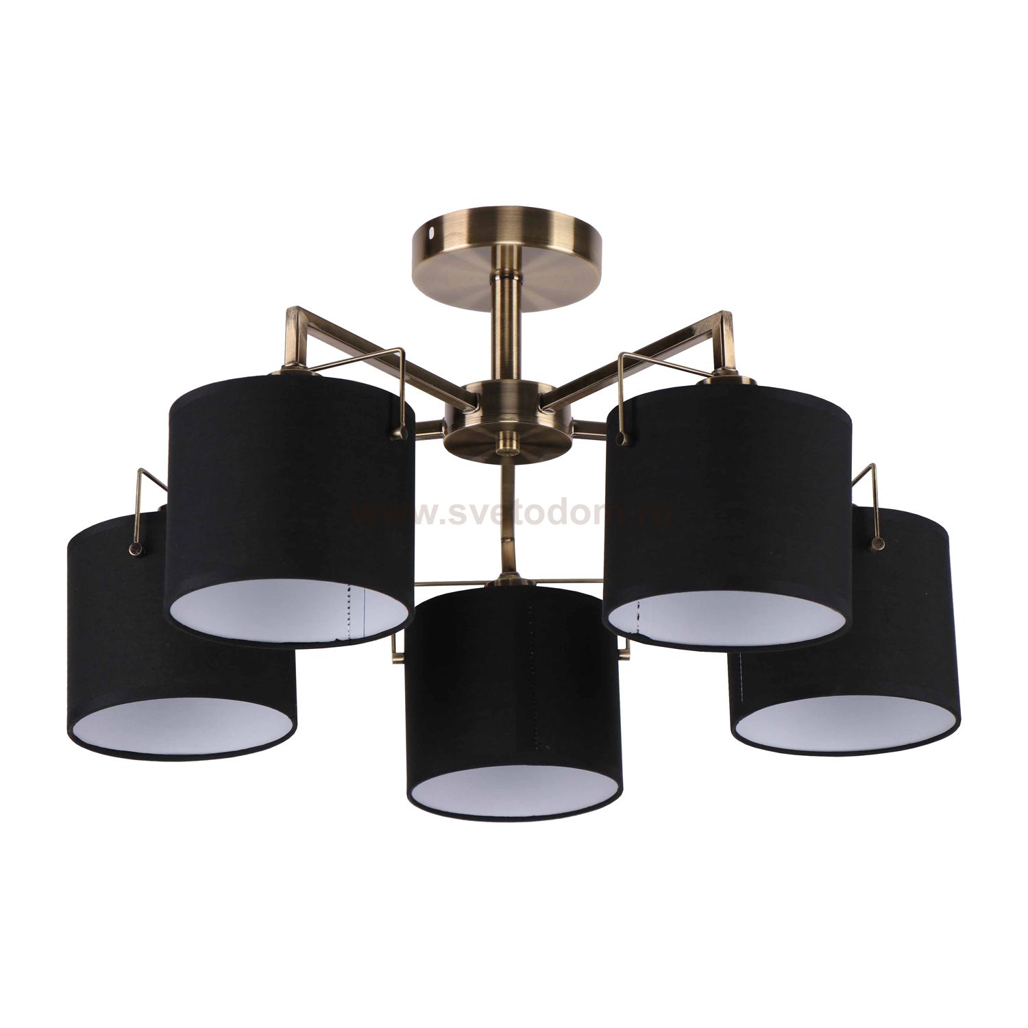 Потолочный светильник Экономсвет 10024/5AB BK+WT